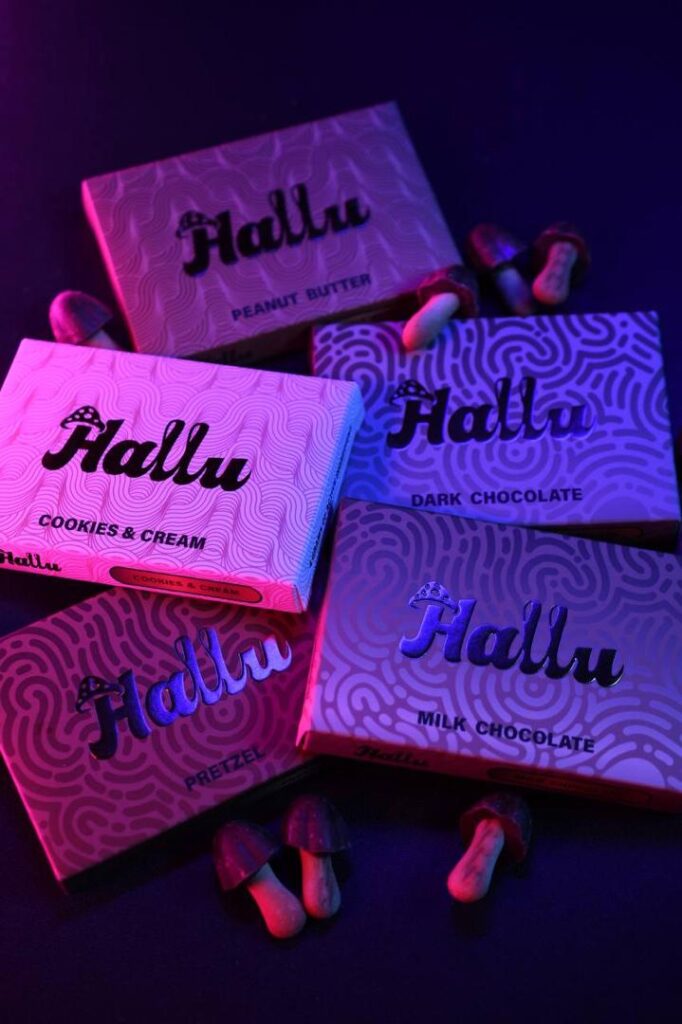 HALLU MUSHROOM CHOCOLATE