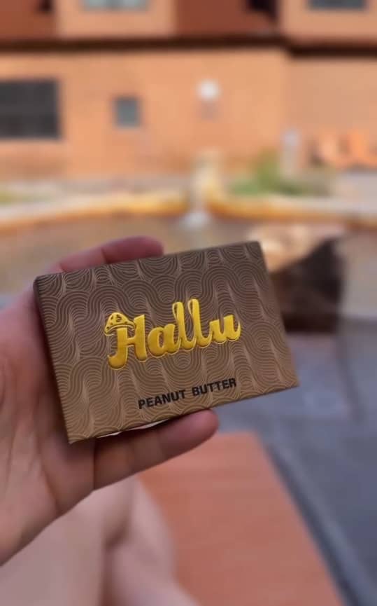 HALLU MUSHROOM CHOCOLATE