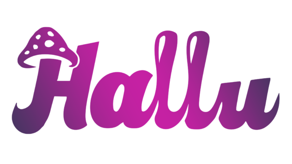 hallu mushroom chocolates